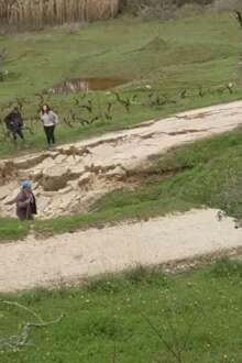 Deslizamento em Pombal deixa família sem abrigo e estrada com desnível de 10 metros